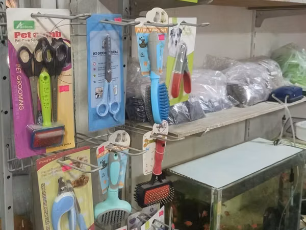Ev heyvanları üçün qulluq və aksesuarlar – geniş seçim Məhsullar: -