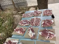 雄羊, 羊 — 写真 3