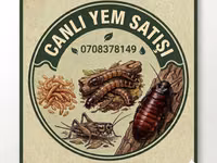 Canlı yem satışı – sürünənlər, amfibiyalar, quşlar və akvarium — 照片 1