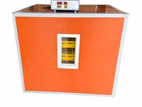 Incubator conplet automat MS-196/Promotie! — foto 2