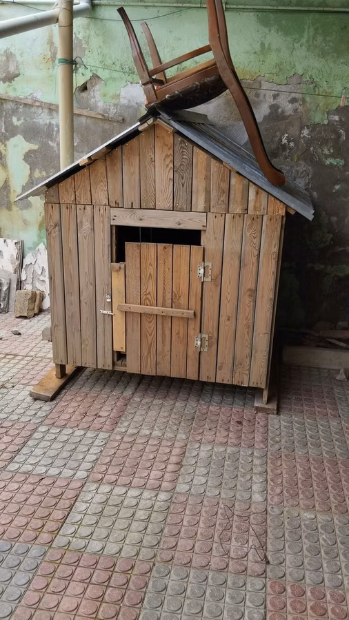 Taxta it evi / dam - Material: təbii taxta lövhələr, möhkəm karkas -