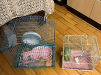 Hamster və ya kiçik gəmiricilər üçün iki ədəd qəfəs komplekti Mavi — 照片 2