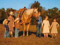 Айғыр, Quarter Horse — 4-сурет
