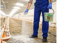 Poultry Disinfectant | Chicken House Disinfectant | Farm Biosecurity K — Foto 4