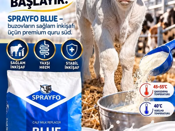 SPRAYFO BLUE – Buzovlar üçün quru süd / süd / süd qurusu / buzov
