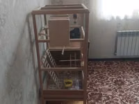 2 dənə quş verlir təcili satılır aşağı yeri də var — 照片 2