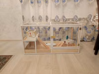 Dovşan,hamster,şinşila,bildirçin,cücə,xamyak,pişik,quş ve s kimi ev — Foto 1