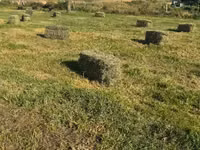 Խոտի տուկ Խառ խոտ — foto 5