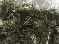 Lucernă — الصورة 1