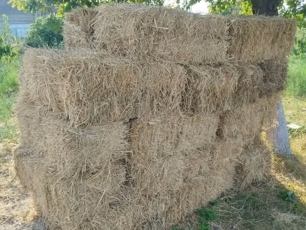 Preslənmiş yonca bağlamaları
