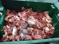 Кура маточник 3кг (старка) — 写真 4