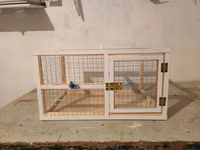 Dovşan,hamster,şinşila,bildirçin,cücə,xamyak,pişik,quş ve s kimi ev — foto 1