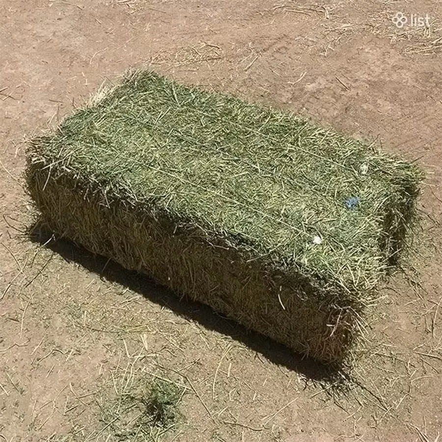 Խոտի տուկ կենդանիների համար