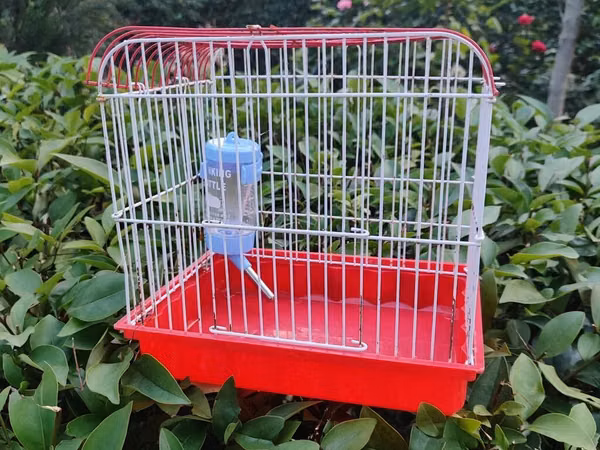 Qırmızı-ağ quş qəfəsi - Material: metal barmaqlıqlar və plastik
