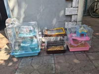 Qefesler satilir Qehveyi-20azn Cehrayi-20azn Yasil-30azn Goy-40azn — Foto 2