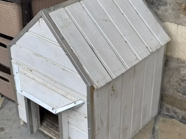 Endirim olajax Ağ rəngli taxta it evi - Material: möhkəm taxta