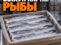 Баранина - истекающий/вышедший срок — photo 4