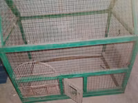 Quşlar üçün iri ölçülü qəfəs. Metal tor və yaşıl rəngli möhkəm — photo 1
