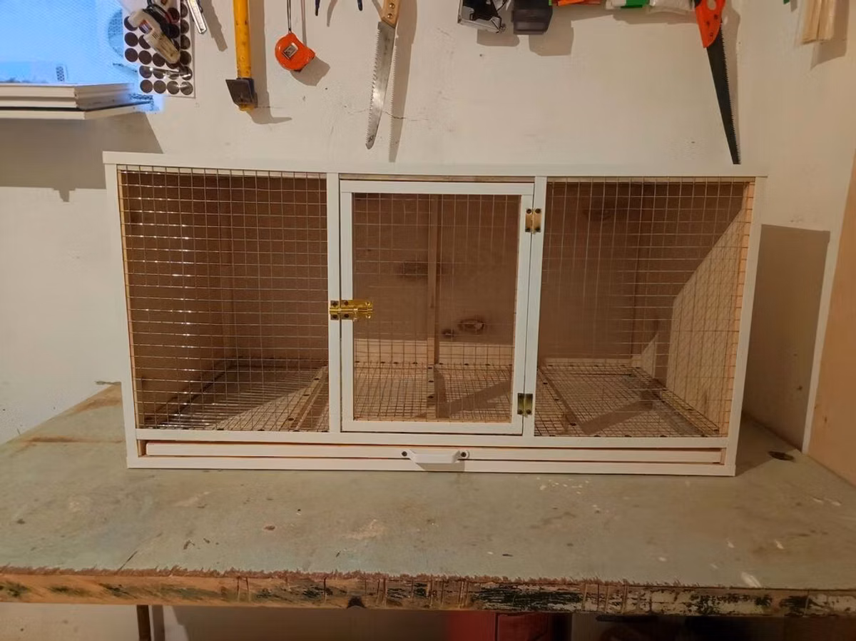 Papuqay,dovşan,hamster,şinşila,bildirçin,cücə,xamyak,pişik,quş,tısbağa