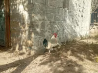 براهما — الصورة 4