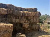 Խոտի տուկ խոտ խոտ — zdjęcie 2