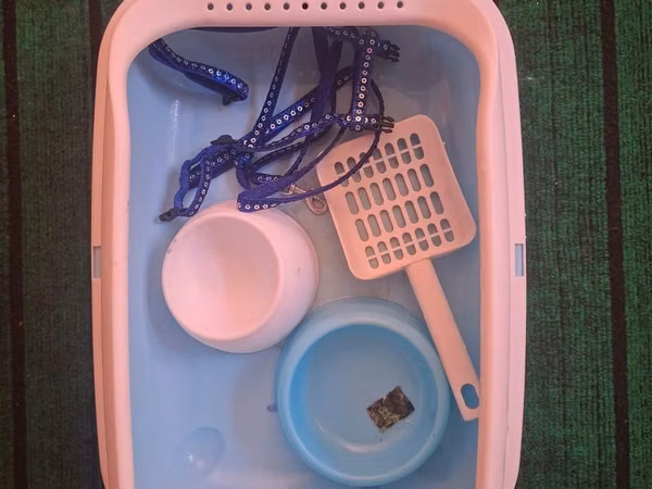 Pişik üçün əsas aksesuarlar dəsti - Plastik pişik tualeti (yuvarlaq