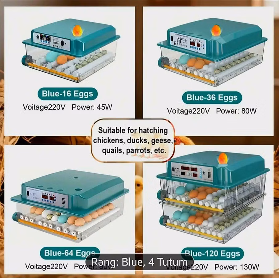 Yeni tam avtomatik inkubator 120 yumurta.Akumlyator 12V qoşulma