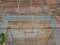 Geniş gəmirici qəfəsi + su qabı - Material: möhkəm metal barmaqlıqlar — foto 1