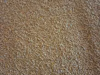Porumb — foto 1
