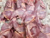 Quails — الصورة 3