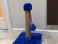 Pişik üçün dırmaşma və dırnaq itiləmə dirəyi - Material: möhkəm sisal — 照片 1
