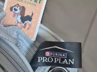 Proplan firmasi pisik cantasi yenidi — zdjęcie 4