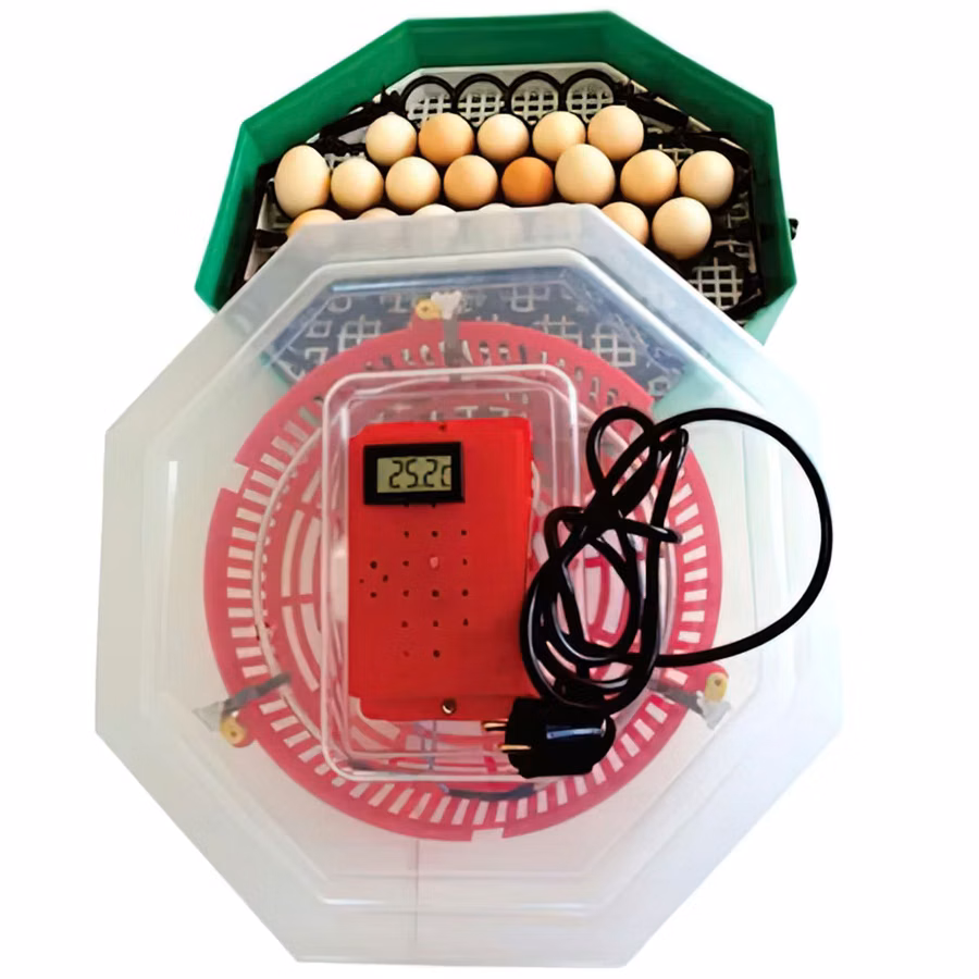 Incubator cu dispozitiv de intoarcere oua si termometru cleo5dt/ inc3 / livrare / garantie 2 ani