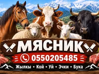Услуги мясника/касатчы для забоя и разделки скота на выезде. Работаем — फ़ोटो 1