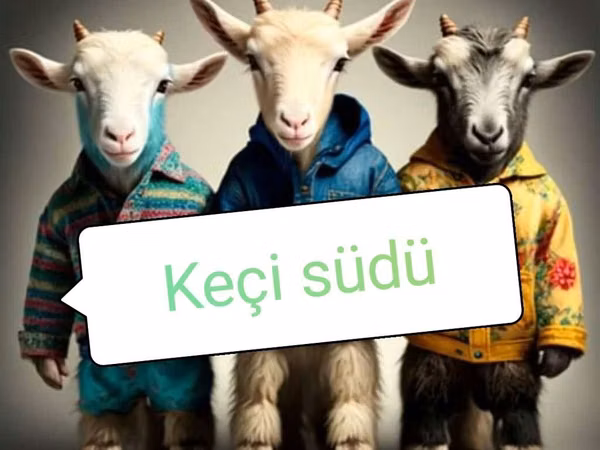 Keçi südü –öncədən sifariş etməyiniz xahiş olunur. Ünvan