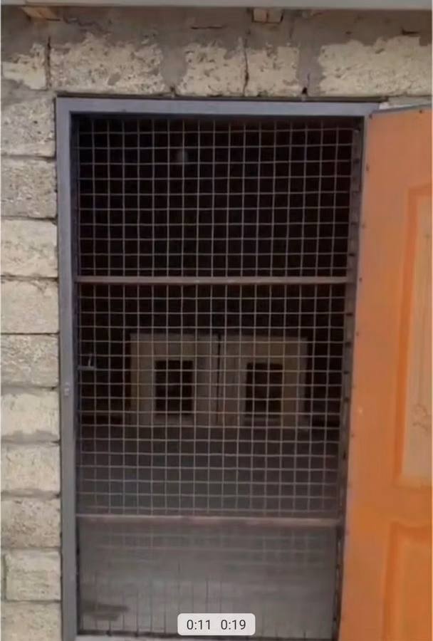 Pişiklər üçün mini-otel / saxlama otağı - Qapalı və təhlükəsiz