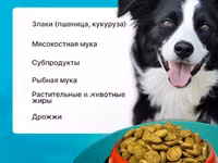 Корм для собак эконом класса Вожак 5кг — الصورة 3