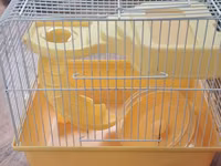 Cırtdan hamsterlər və tam avadanlıqlı qəfəs dəsti 2 qəfəs böyük və — photo 3