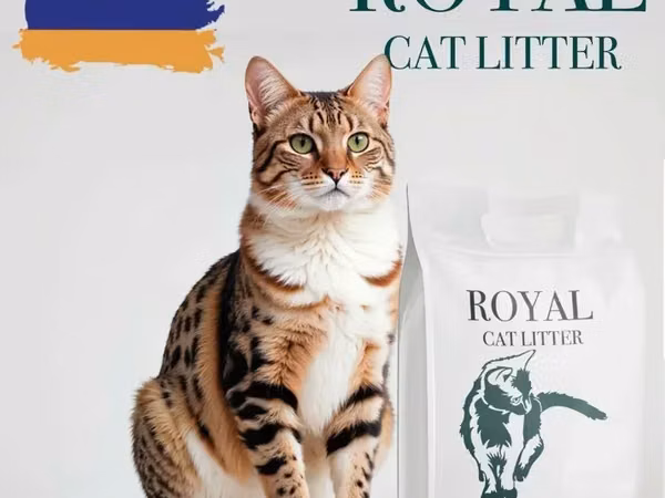 Royal cat litter