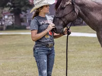 Koń, Quarter Horse — zdjęcie 5