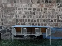Նապաստակի բուն տնակ — foto 2