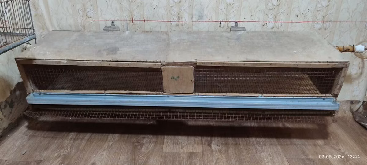 Bildircin qefesi,icinde 6 eded bildircinle satilir,hamisi bir uerde