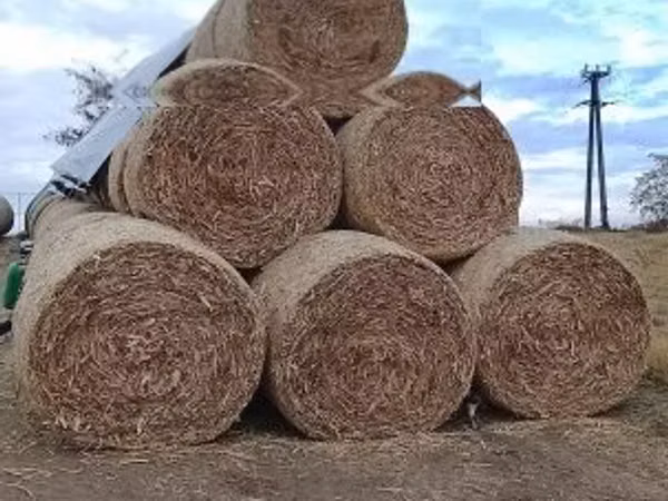 140 bála körbálás csutka