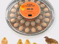 Tam avtomatik inkubator 30 yumurta. Satış evdən məhdut miqdarda. Əlaq' — foto 2