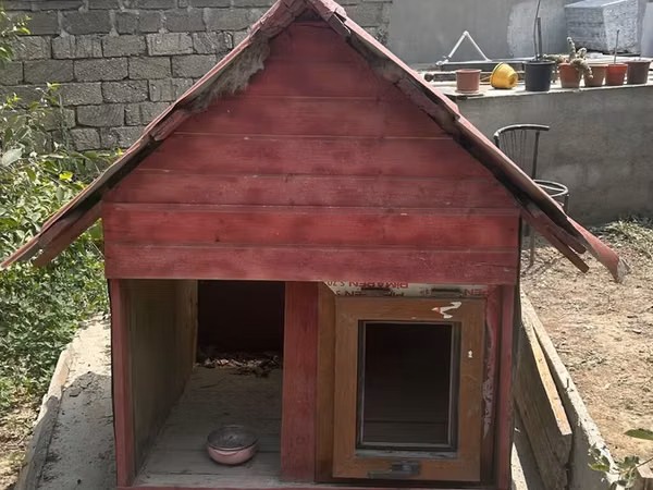 İt evi – taxta konstruksiya, iki girişli - Material: qalın taxta