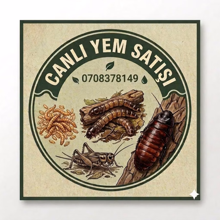 Canlı yem satışı – sürünənlər, amfibiyalar, quşlar və akvarium