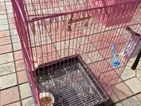 Quş qəfəsi və aksesuarlar paketi - Rəng: çəhrayı metal karkas, damlı — foto 3
