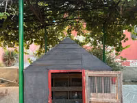 Taxta quşxana/saya satılır - Material: qalın taxta karkas, üzəri — ფოტო 5
