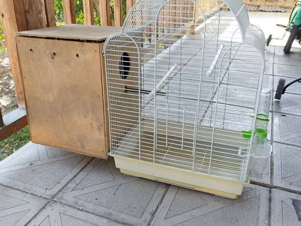 Quş qəfəsi + yuvalıq dəsti 3 ədəddi - Ölçü: orta həcmli, qövs formalı