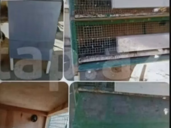 Qəfəs satılır qiyməti 45 manat deyilir real alıcılar zəng etsin